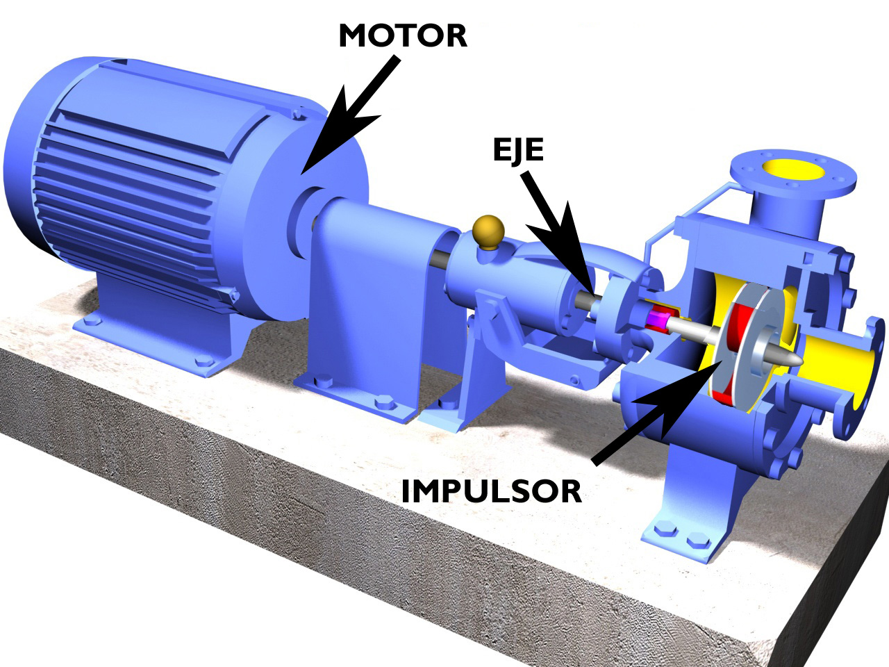 Resultado de imagen para bomba centrifuga partes  imagenes